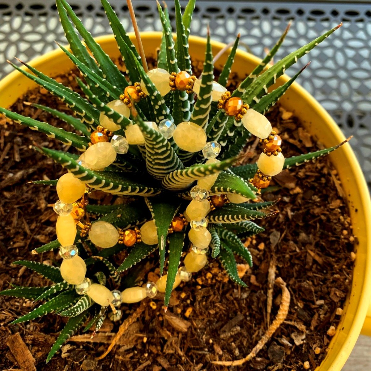 Pineapple Quartz Set – Jazi Junk