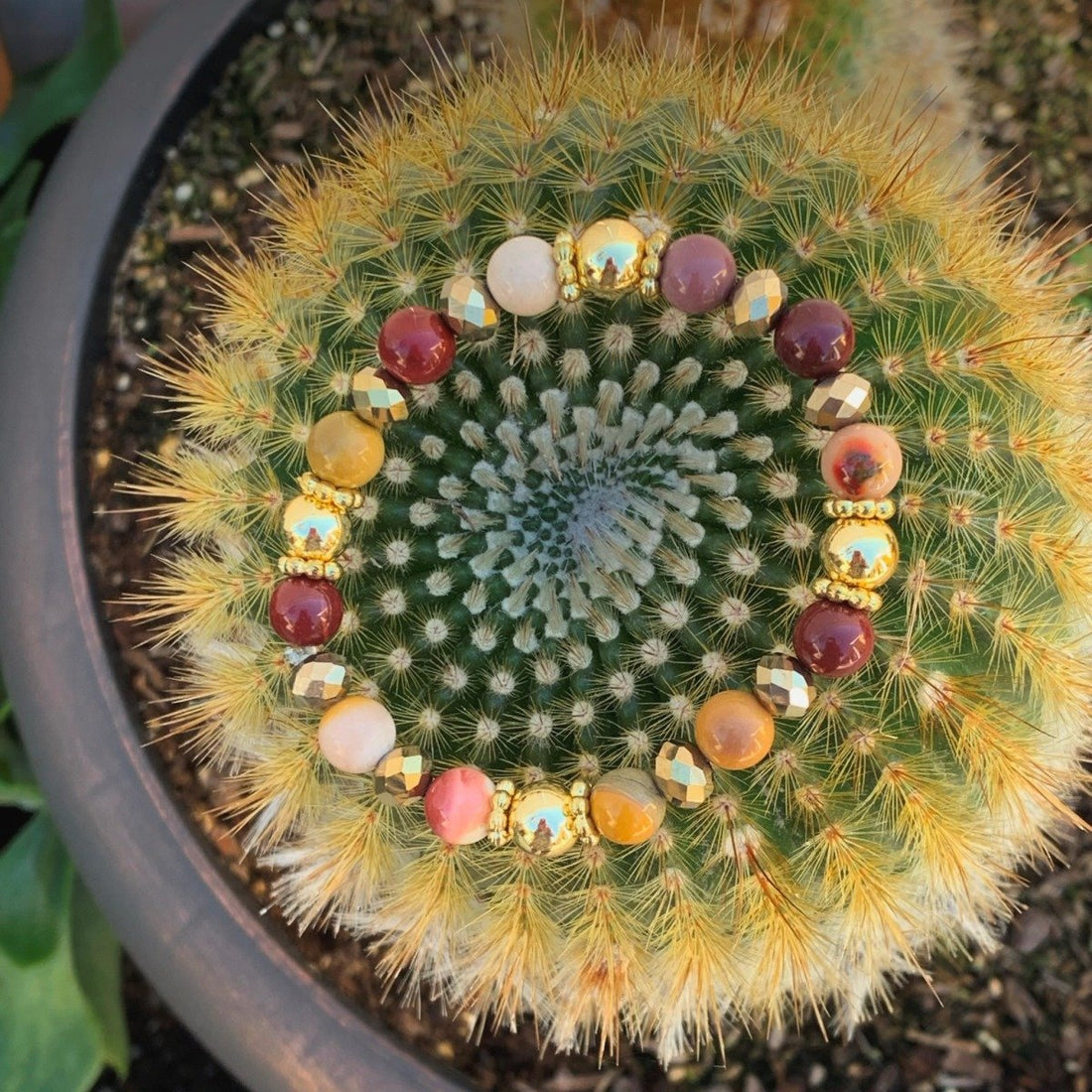 A bracelet made of Mookaite beads with gold beads and gold spacers