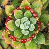 A bracelet made of Red Poppy Jasper ovals with gold hexagon beads on elastic