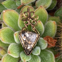 Pendant made of Turritella Triangle Agate with Bronze wire wrap; 1" w x 2 1/8" long incl bail