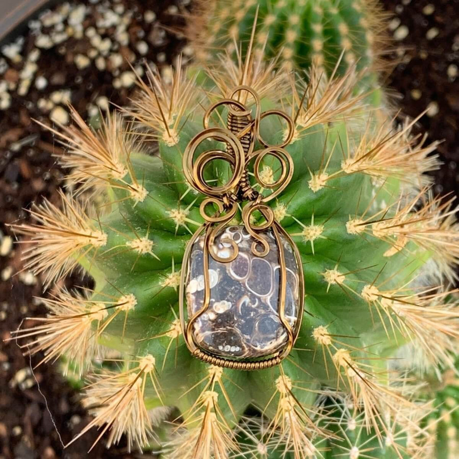 Pendant made of Turritella Square Agate with Bronze wire wrap; 7/8" w x 2" long, incl bail